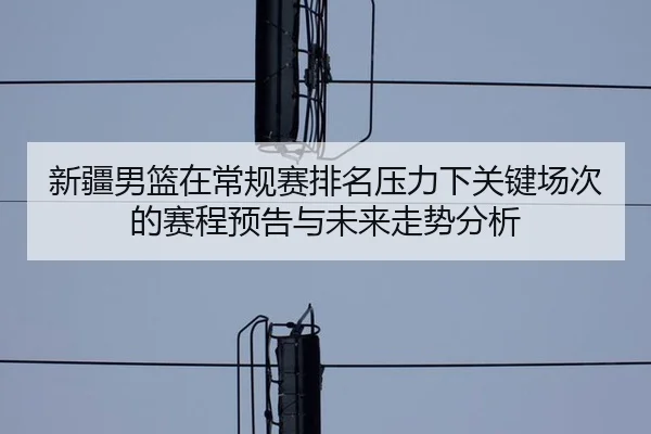 xin-jiang-nan-lan-zai-chang-gui-sai-pai-ming-ya-li-xia-guan-jian-chang-ci-de-sai-cheng-yu-gao-yu-wei-lai-zou-shi-fen-xi-2-440.jpg